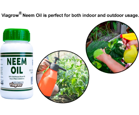 G125 VNEEM3215